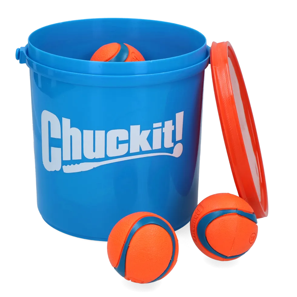 Chuckit Bucket with Medium 8-Pack Ultra Balls