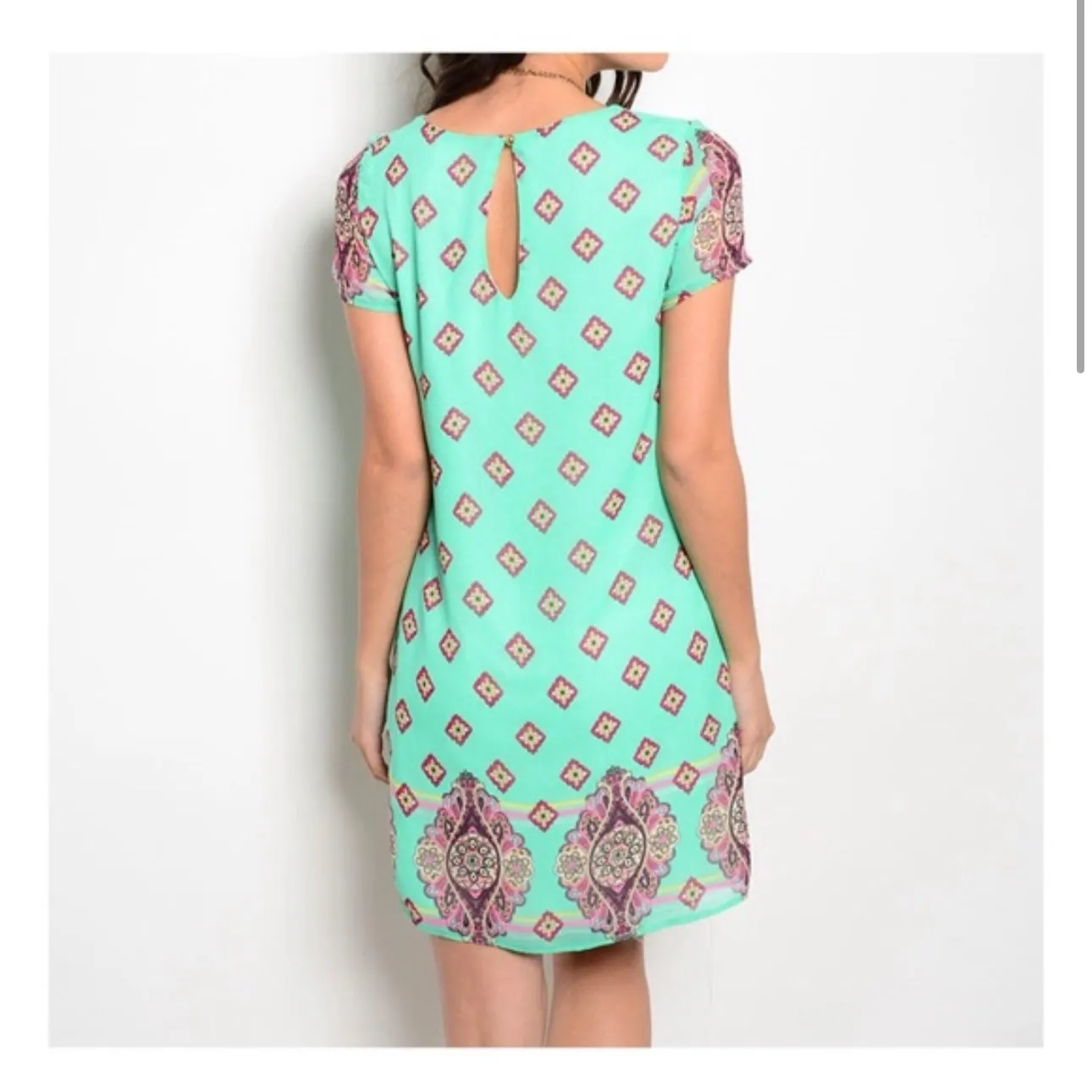 Mint Paisley Dress Design